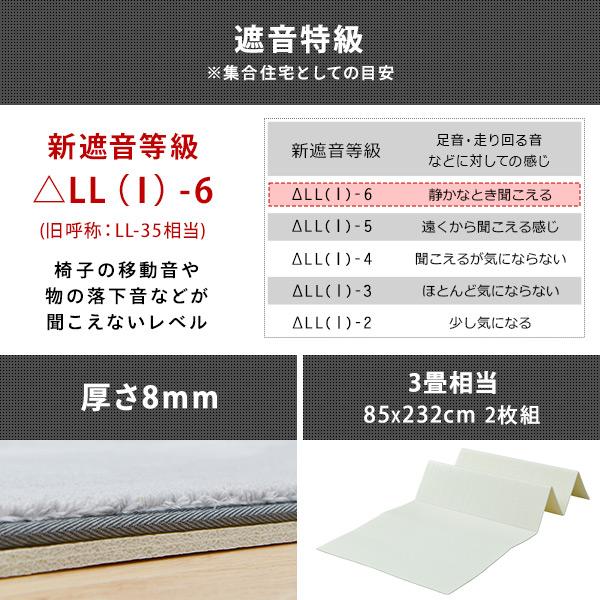 山善（YAMAZEN） 遮音マット 防音マット 厚さ8mm 3畳相当 (85×232cm 2