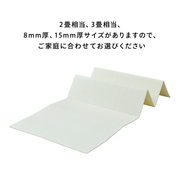 山善（YAMAZEN） 遮音マット 厚さ15mm 2畳相当 (85×180cm 2枚セット
