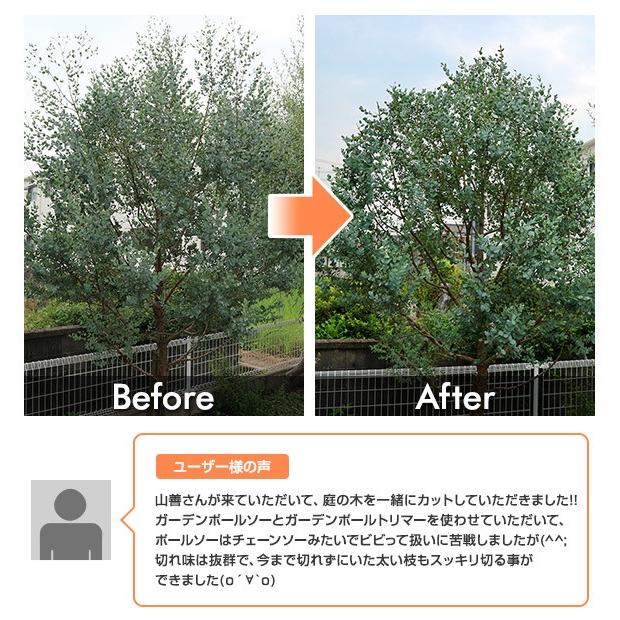 高枝ヘッジトリマー 交換ブレードセット 10.8V 充電式  LPH-1025+&alpha;  ガーデントリマー ヘッジトリマー 植木バリカン 生垣バリカン 高枝切り