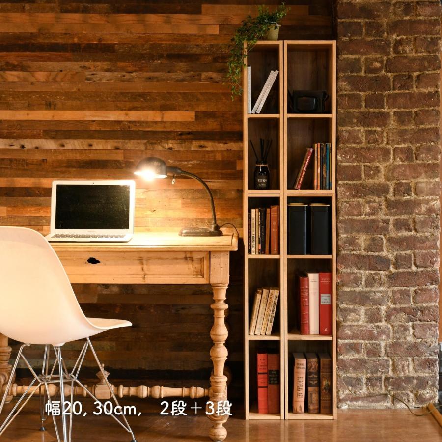 山善（YAMAZEN） 棚が動かせる カラーボックス スリム 2段 幅15 奥行き