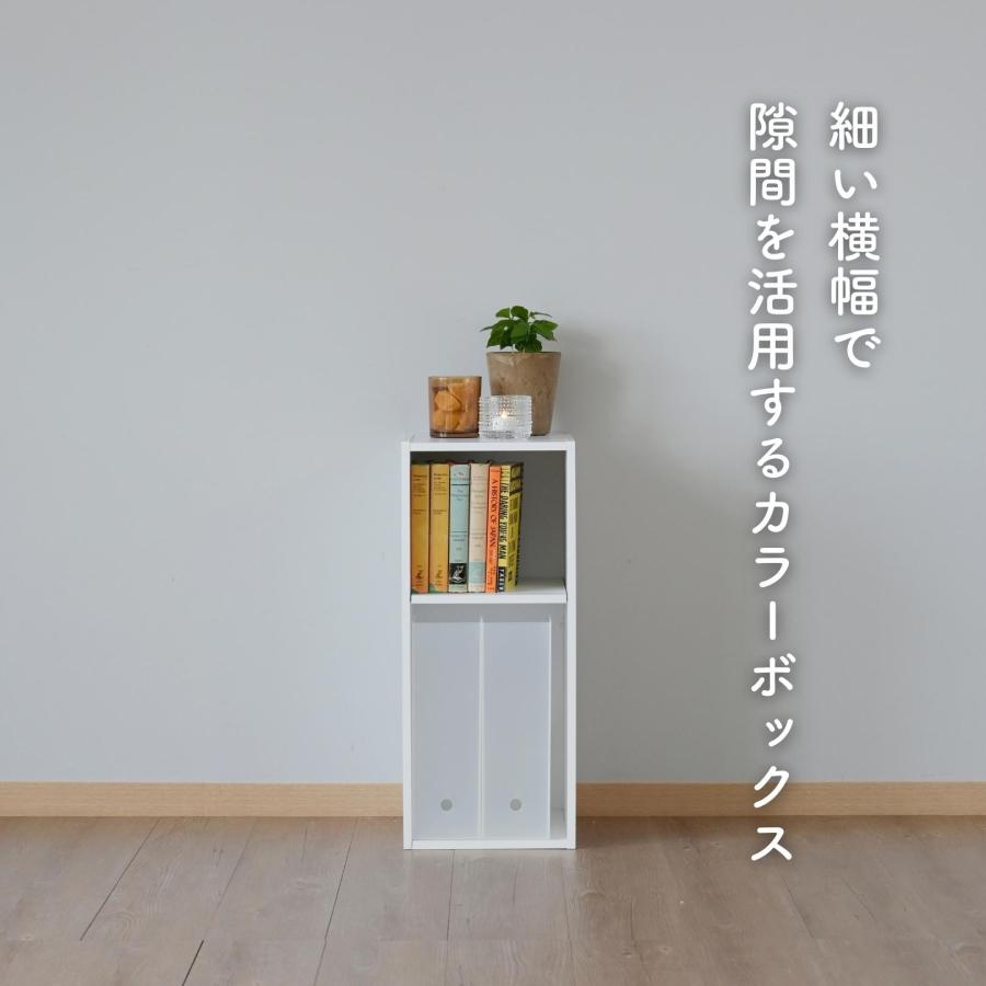 山善 棚が動かせる カラーボックス スリム 2段 幅25 奥行き29 高 山善 棚が動かせる カラーボックス スリム 2段 幅25 奥行き29 高