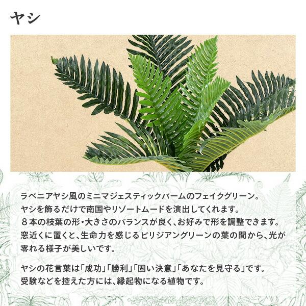 山善（YAMAZEN） フェイクグリーン ヤシ 高さ50cm FG-ARECA50 人工