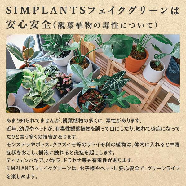 山善（YAMAZEN） フェイクグリーン ヤシ 高さ50cm FG-ARECA50 人工