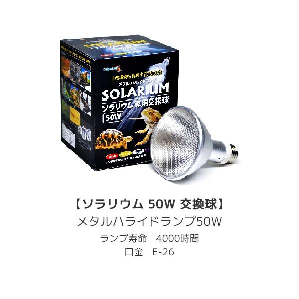 ゼンスイ ソラリウム 50W 交換球 50W ランプ 交換球 ソケットセット