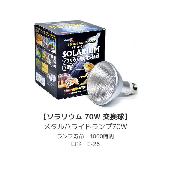 SALE／93%OFF】 sunsetゼンスイ ソーラーラプター HIDランプ 35W