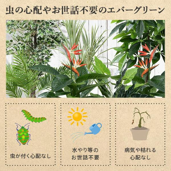 フェイクグリーン ヤシ 高さ75cm FG-ARECA75 人工 グリーン 観葉植物 フェイク 造花 植物 緑 鉢植え リアル ナチュラル インテリア おしゃれ 水やり不要｜e-kurashi｜05