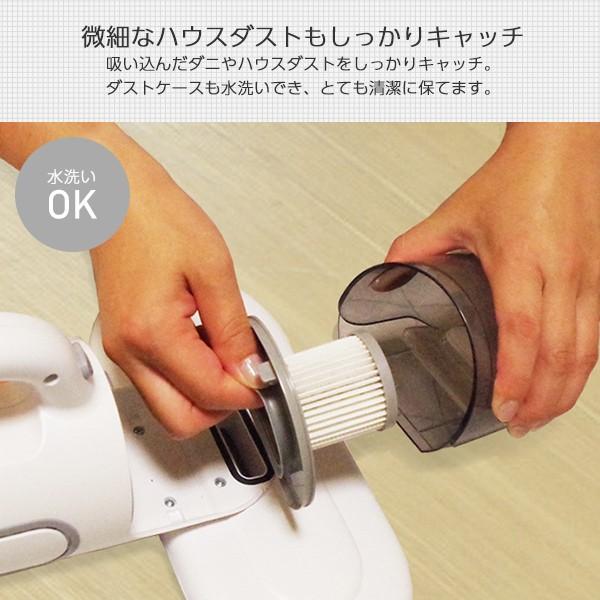 布団クリーナー ふとんクリーナー 99％除菌 掃除機 ANABAS FP-100 布団