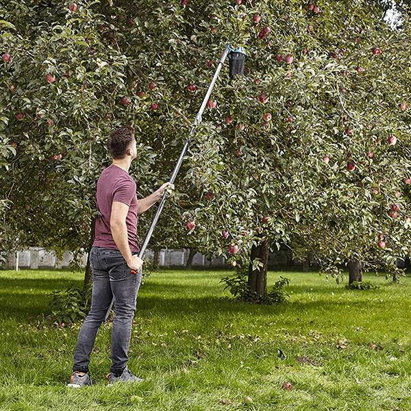 【特価商品】GARDENA(ガルデナ)フルーツコレクター コンビシステム 310 Amazon.com: Gardena 3108 Combi System Fruit Collector : Books