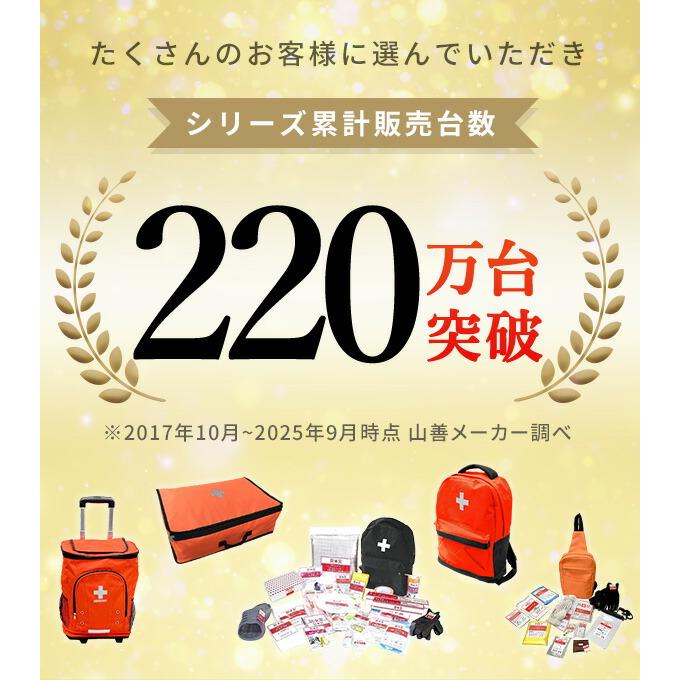 山善（YAMAZEN） 防災士監修 防災バッグ 30点 ポンプ付き エアベッド