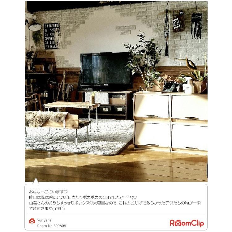 山善（YAMAZEN） カラーボックス 扉付き フタ付き 積み重ね 収納