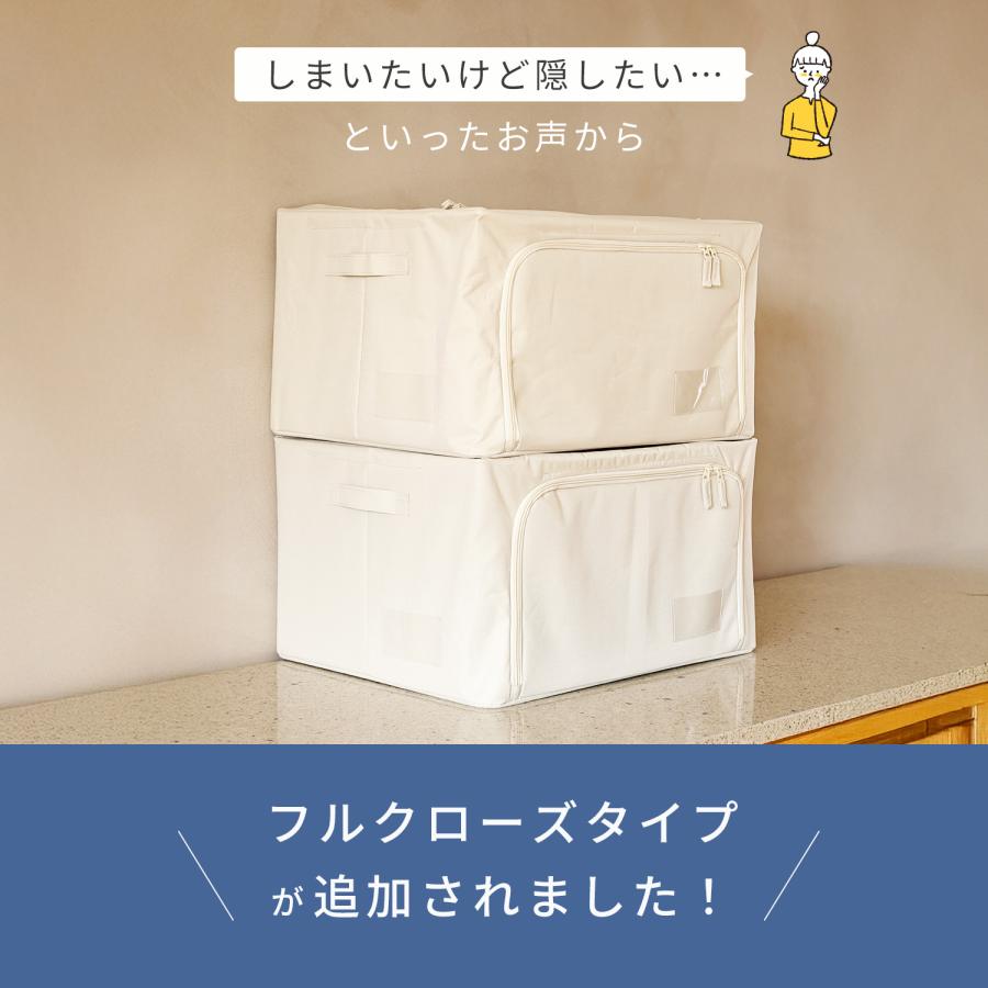 新品　衣装ケース2個セット JEJアステージ 収納ボックス 衣装ケース(同色2個セット)(ストラ