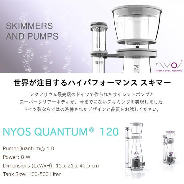 ゼンスイ ニオス クァンタム 120 プロテインスキマー スキマー 水質