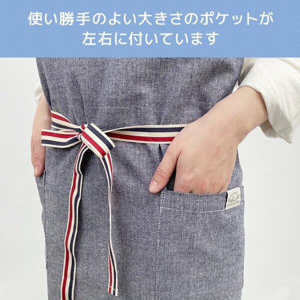 エプロン 前紐タイプ ポケット付き 綿100％ 前掛け 大人用 レディース