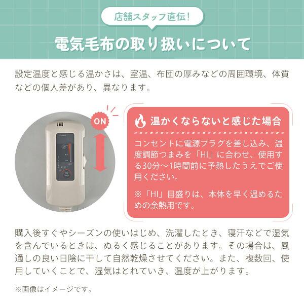 山善（YAMAZEN） フランネル電気毛布 敷き 掛け敷き兼用 188×130 cm