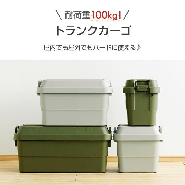 RISU（リス） トランクカーゴ 20L TC-20 2個セット 座れる 収納