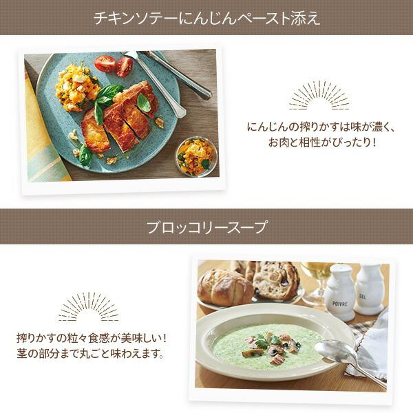 Toffy ミキサー ジューサー スロージューサー 小型 ミニスロー