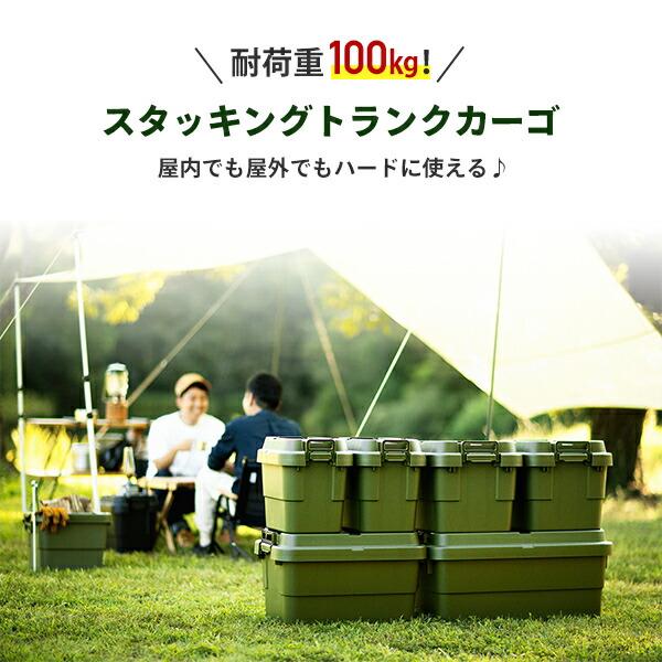 RISU（リス） スタッキング トランクカーゴ 22L (2個セット) TC-20S