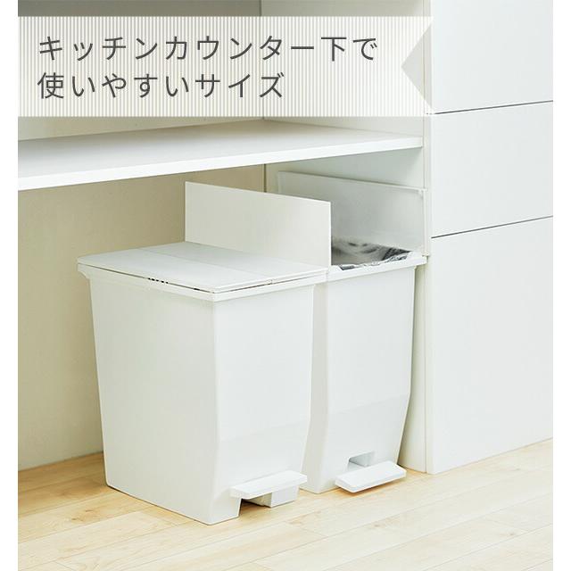 RISU（リス） ゴミ箱 SOLOW ソロウ ペダルオープン ツイン 35L GSLW003