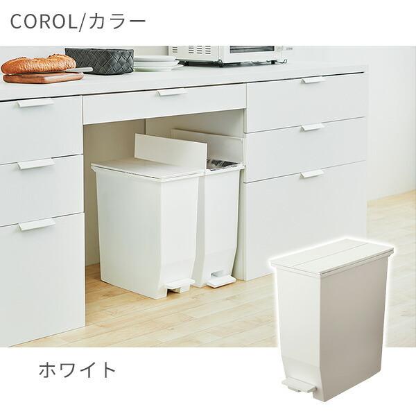 RISU（リス） ゴミ箱 SOLOW ソロウ ペダルオープン ツイン 35L GSLW003