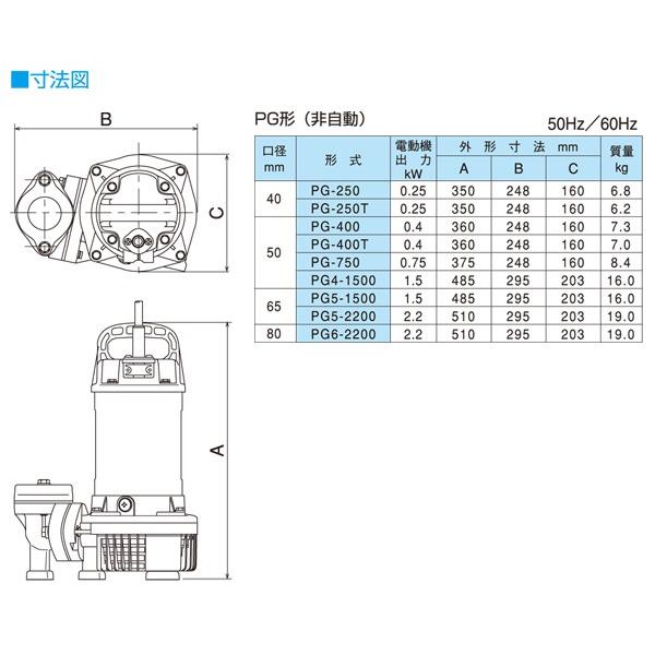 寺田ポンプ ステンレス製 汚水用水中ポンプ PG-250 小型 軽量
