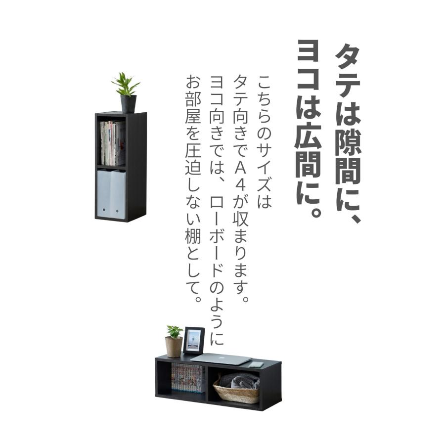 山善（YAMAZEN） 隙間収納 カラーボックス A4 2段 スリム 幅25 奥行29