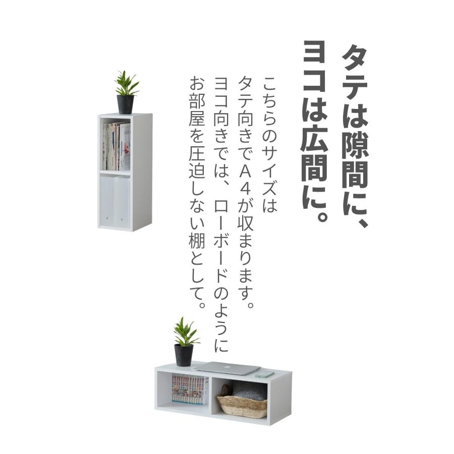 山善（YAMAZEN） 隙間収納 カラーボックス A4 2段 スリム 幅25 奥行29