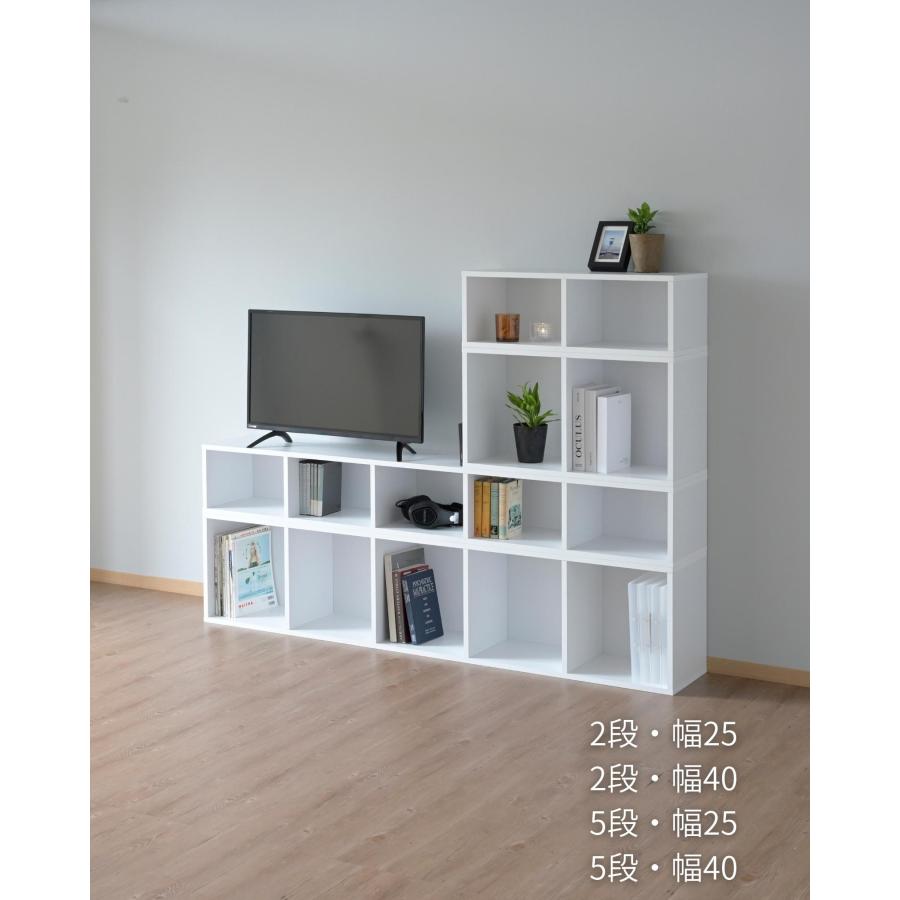 山善（YAMAZEN） たてよこ使える A4 カラーボックス 2段 幅40 奥行29