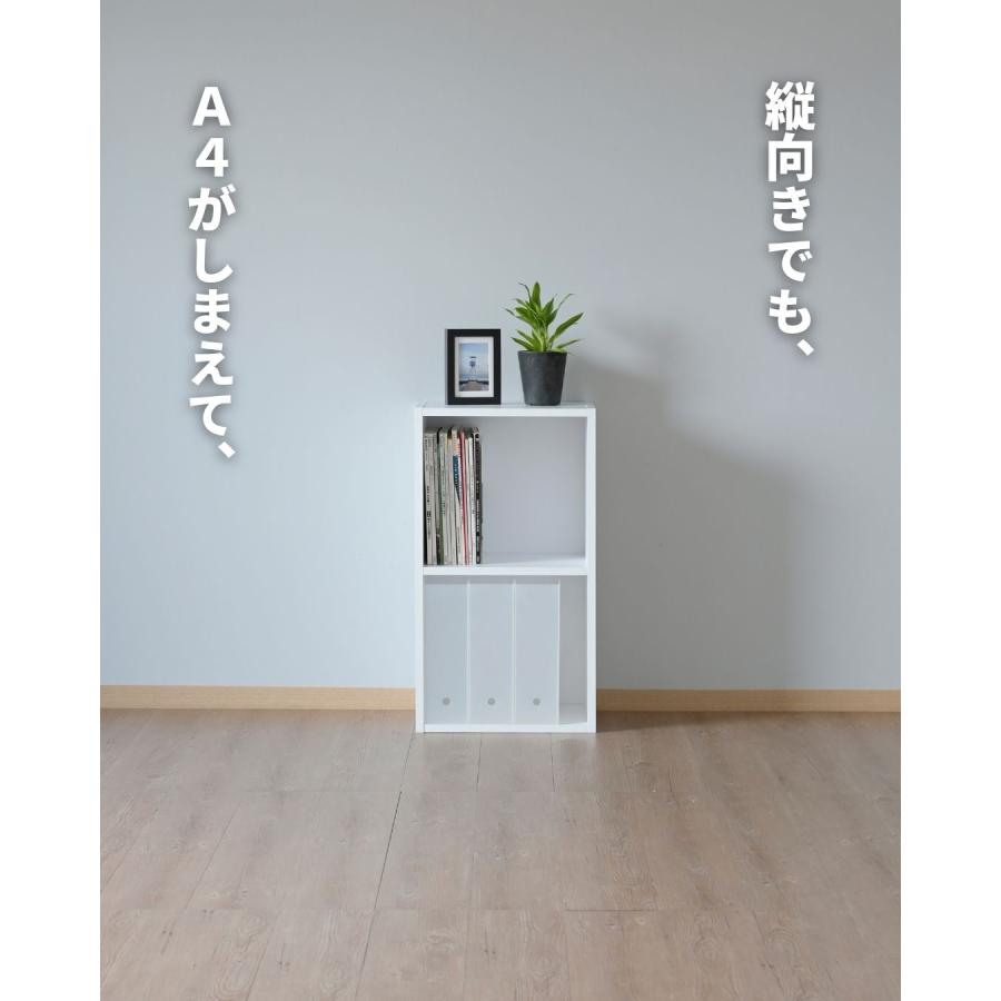 山善（YAMAZEN） たてよこ使える A4 カラーボックス 2段 幅40 奥行29