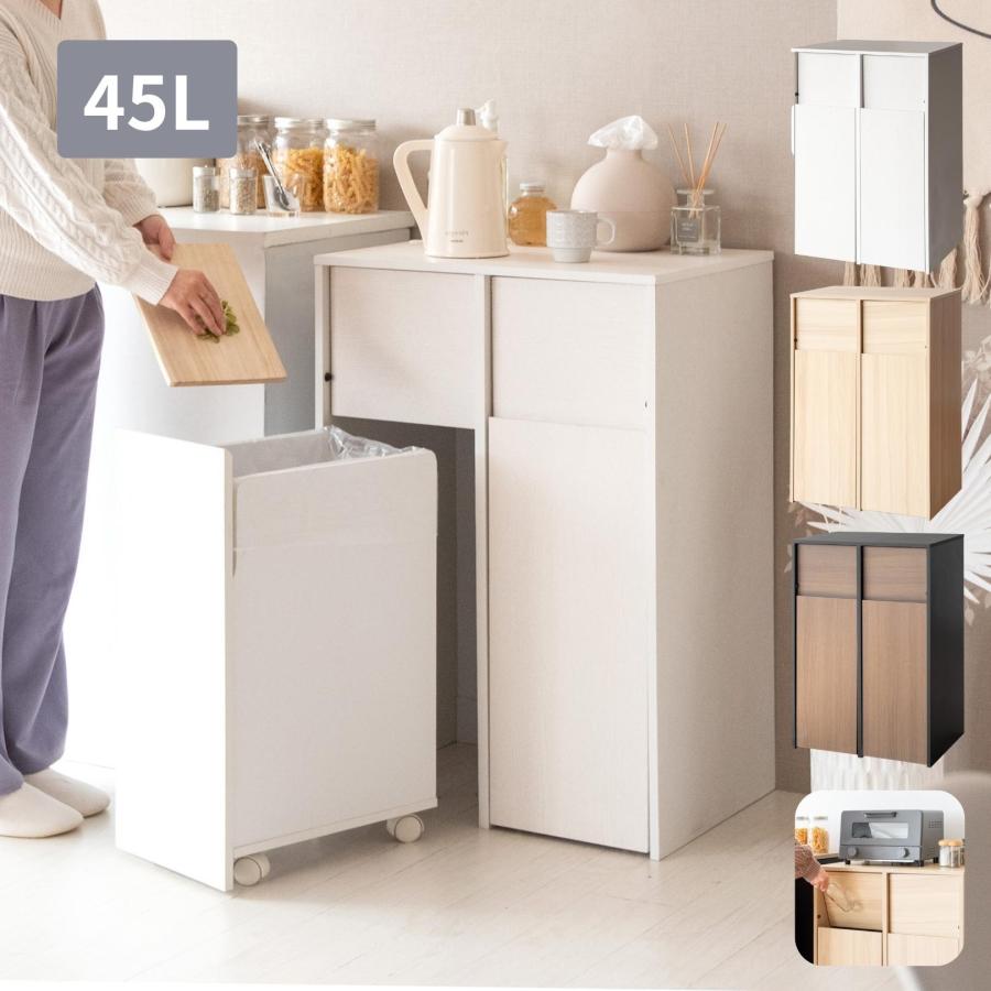 【新品】ゴミ箱 45リットル 2分別 引出し式 幅60 奥行き42 高さ80cm キャスター付き ゴミ箱 45L 45リットル 2分別 分別 ダストボックス ふた付き