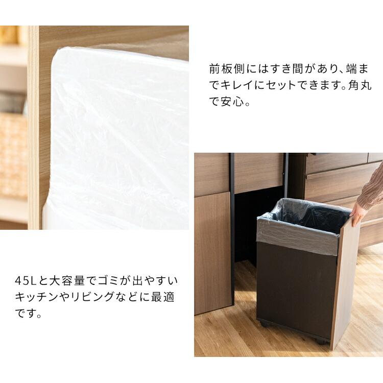宮武製作所 隠せる ゴミ箱 45リットル 2分別 扉式 幅60.5 奥行き43 高