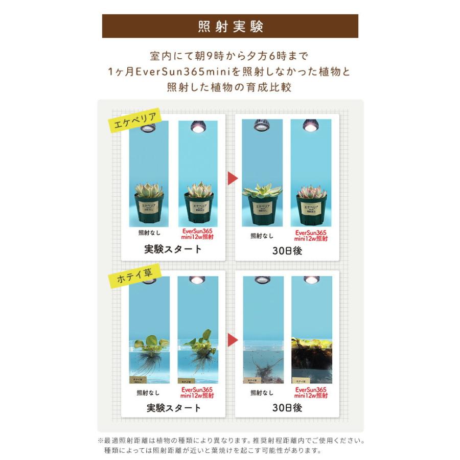 ゼンスイ 植物育成ライト EVERSUN365 MINI クリップ/スタンド/ライト