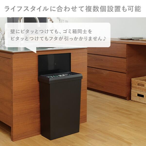 SOLOW ソロウ ゴミ箱 通路で使えるワイドダストボックス ハンド