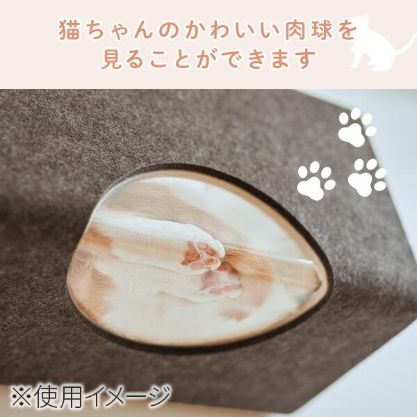 猫壁 ボックス 透明タイプ マグネット式 キャットステップ 壁面 にゃん
