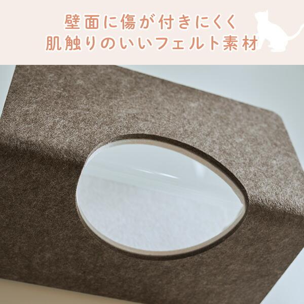 猫壁 ボックス 透明タイプ マグネット式 キャットステップ 壁面 にゃん