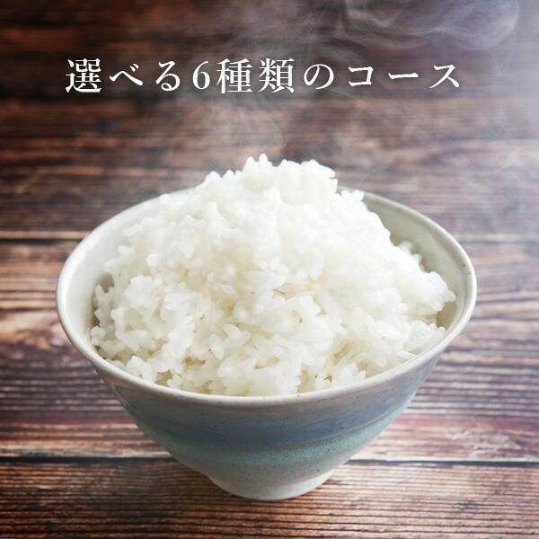 山善（YAMAZEN） 炊飯器 4合炊き ビジュいい 炊飯器 4合 一人暮らし