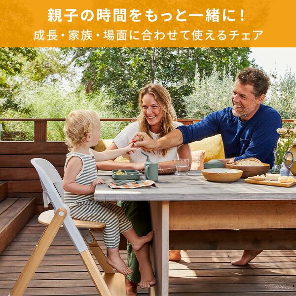 新品　未開封品　Ergobaby(エルゴベビー) evolve ハイチェア ブランド/E/Ergobaby エルゴベビー/evolve ハイチェア[DADWAY