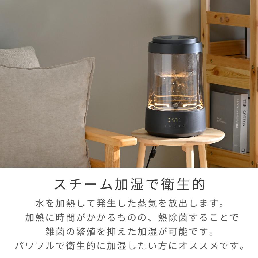 山善（YAMAZEN） 加湿器 スチーム式 卓上 小型 ガラススチーム加湿器