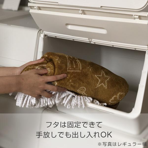 SANKA 収納ケース 収納ボックス フタ付き 前開き スリム 浅型 2個