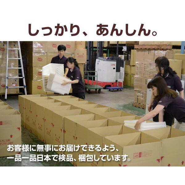 SANKA 収納ケース 収納ボックス フタ付き 前開き スリム 浅型 2個