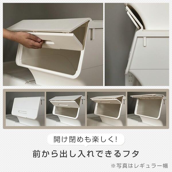 SANKA 収納ケース 収納ボックス フタ付き 前開き スリム 深型 2個