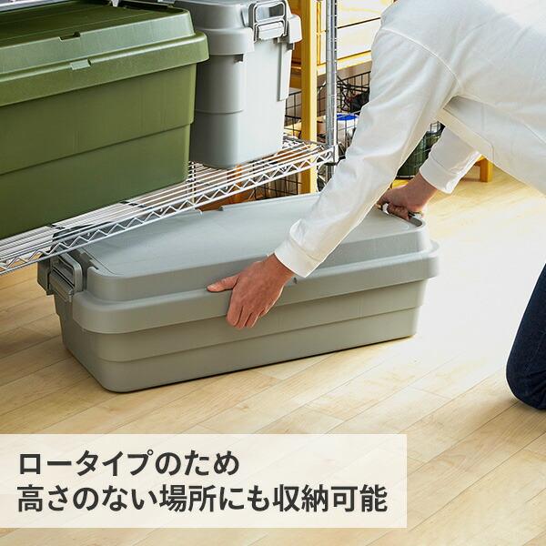 【人気商品】リス(RISU) 収納ボックス トランクカーゴ 40L ベージュ 日 RISU（リス） トランクカーゴ TC-70S LOW 40L 日本製 スタッキング