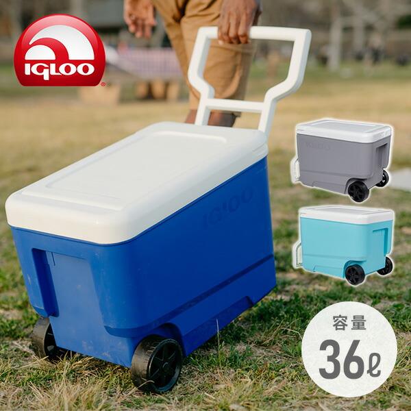 igloo（イグルー） クーラーボックス 大型 ウィリークール38 (36L