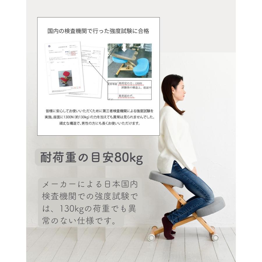 宮武製作所 プロポーションチェア カバー付き 補助クッション 宮武製作所 プロポーションチェア カバー付き 補助クッション