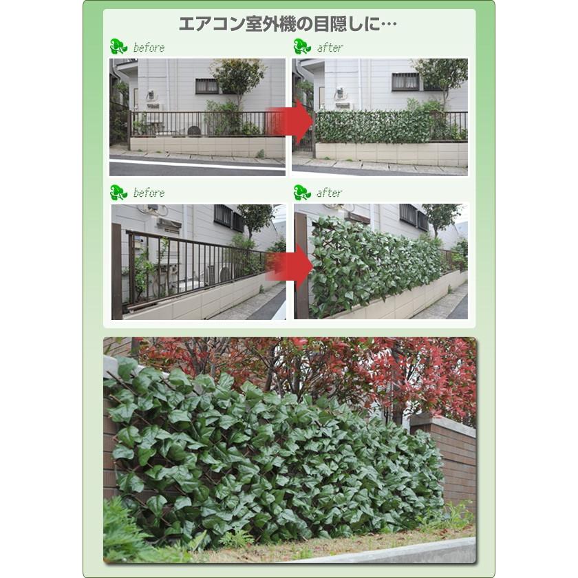 山善（YAMAZEN） グリーンカーテン グリーンフェンス リーフラティス(R