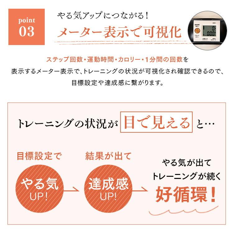 ALINCO（アルインコ） 1年保証 サイドステッパー フィーア 油圧 