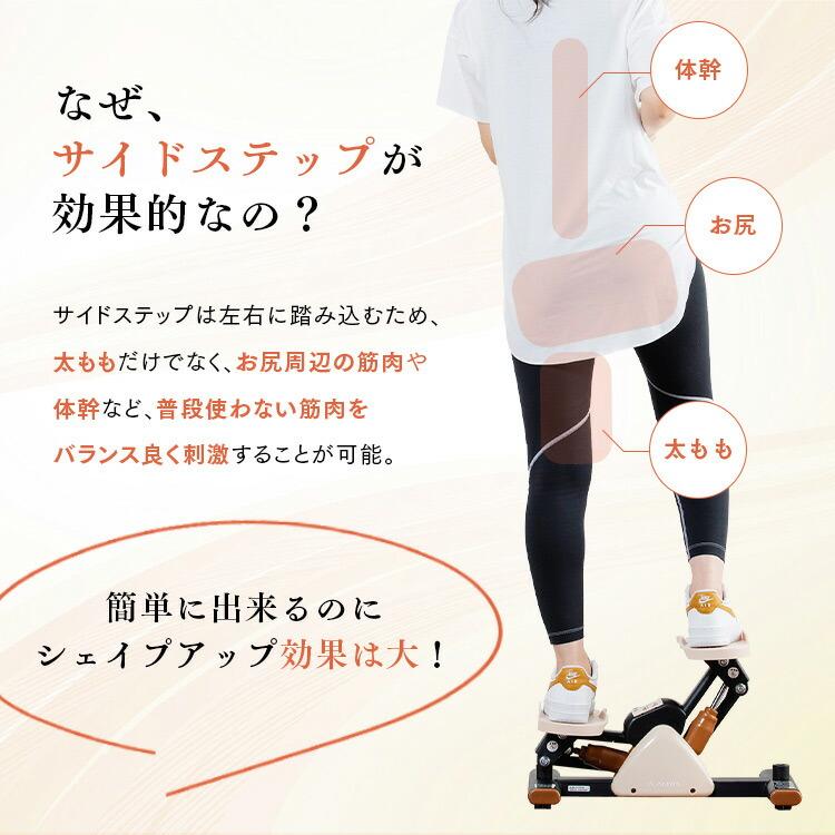 ALINCO（アルインコ） 1年保証 サイドステッパー フィーア 油圧