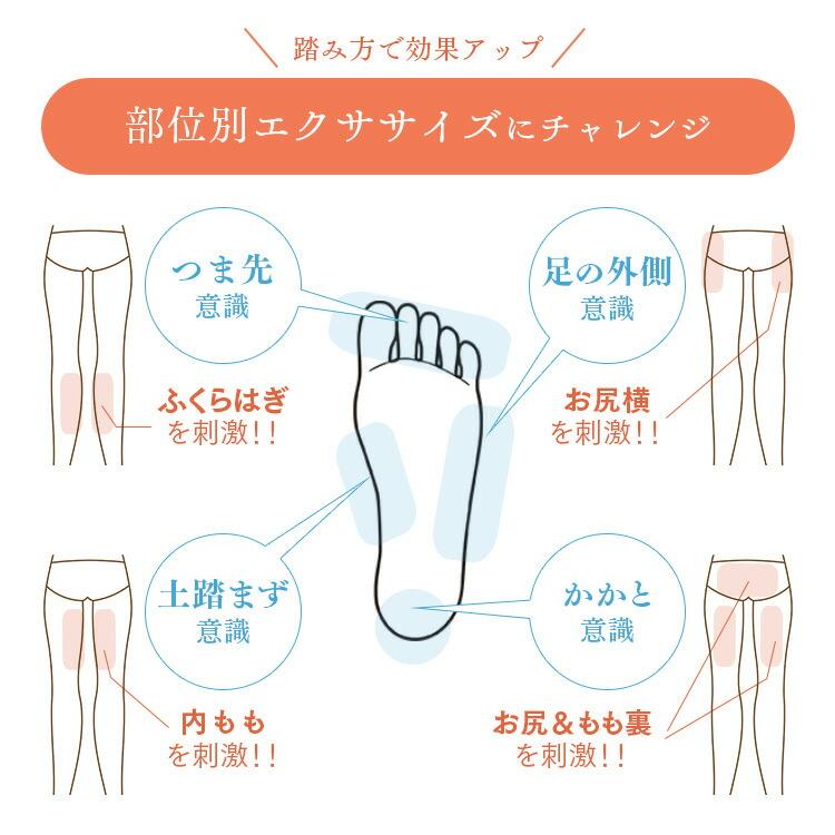 ALINCO（アルインコ） 1年保証 サイドステッパー フィーア 油圧