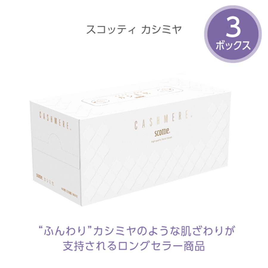 スコッティ（scottie） ティッシュペーパー 詰め合わせ S12 11点セット