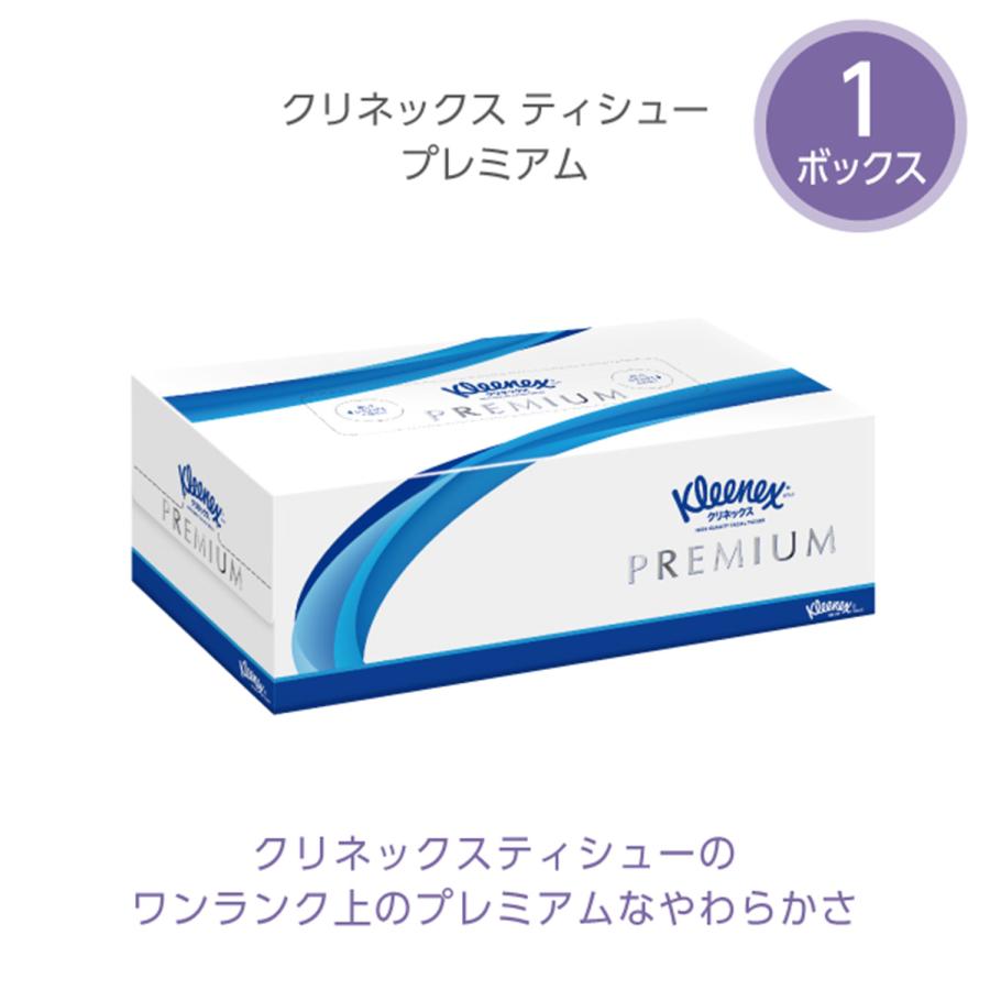 スコッティ（scottie） ティッシュペーパー 詰め合わせ S12 11点セット
