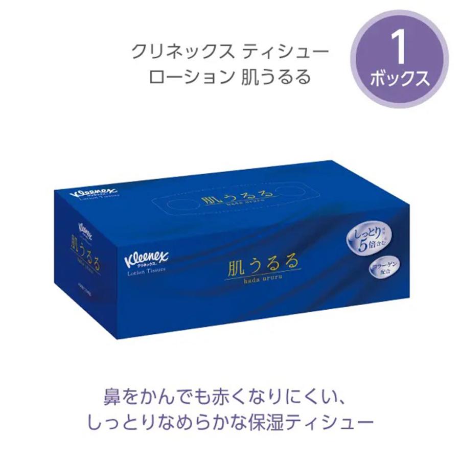 スコッティ（scottie） ティッシュペーパー 詰め合わせ S12 11点セット
